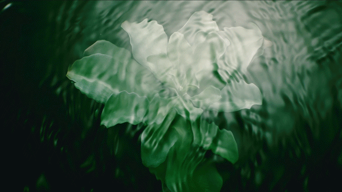 黎全能乳送菁纯眼霜5ml！入冬速囤麻将胡了终于蹲到了！299元抢希思(图9)